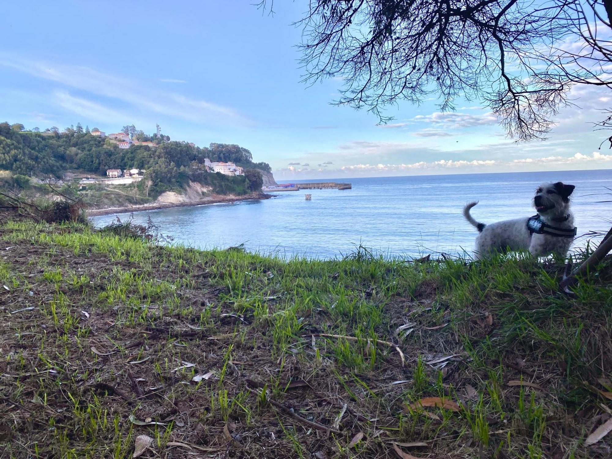 El apartamentín de Lastres Exterior foto